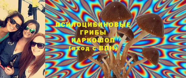 apvp Алексин