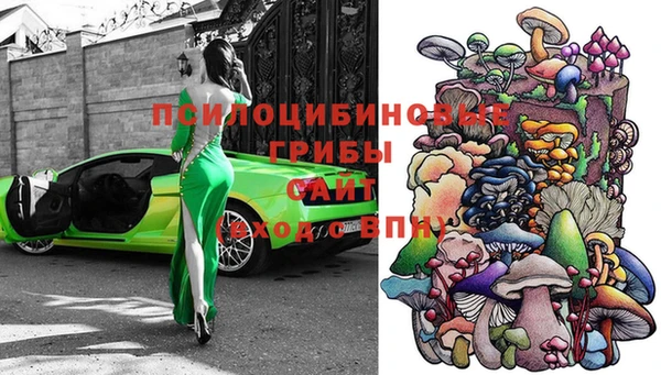 apvp Алексин