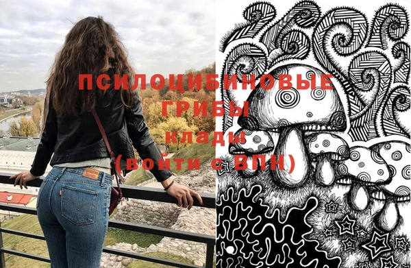 apvp Алексин