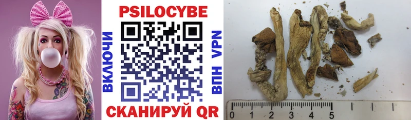 сколько стоит  Спасск  Галлюциногенные грибы Psilocybe 