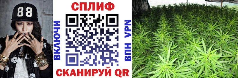 Канабис конопля  Спасск 